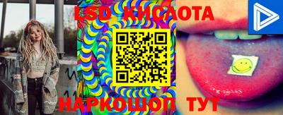 ECSTASY Обь