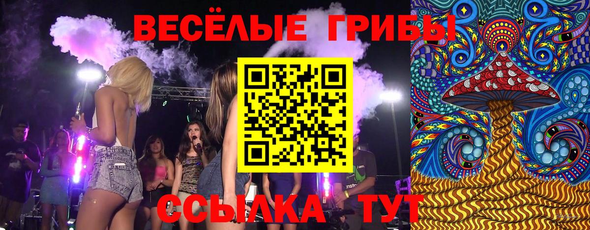 Свободный  Галлюциногенные грибы мицелий  купить  цена  Вход с VPN  Псилоцибиновые грибы Cubensis 