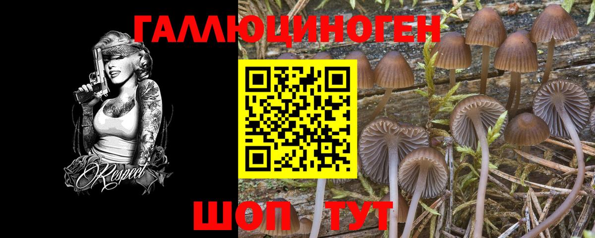 Галлюциногенные грибы Свободный